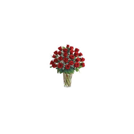  Classic-Two-Dozen-Roses-in-a-vase