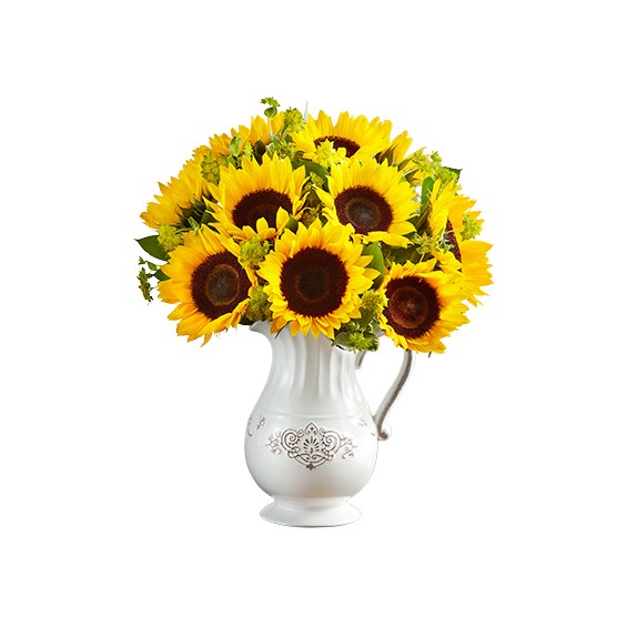 yellow-sunflower-in-a-reusable-pitcher