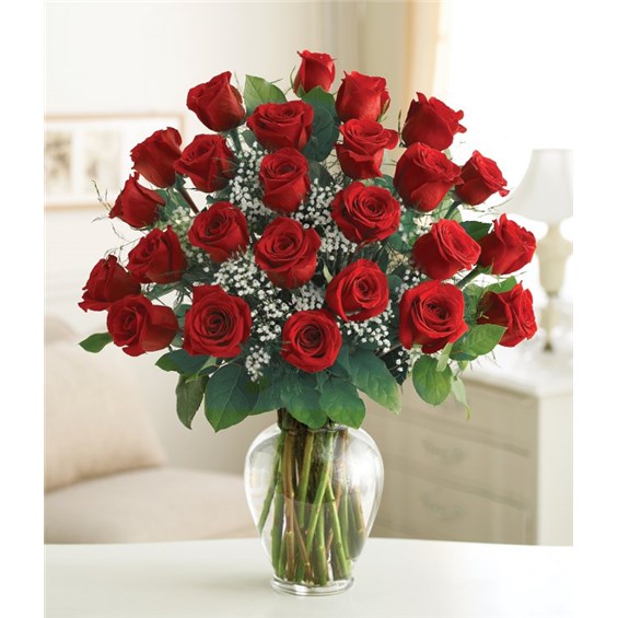 24-Dozen-Classic-Rose-in-a-Vase