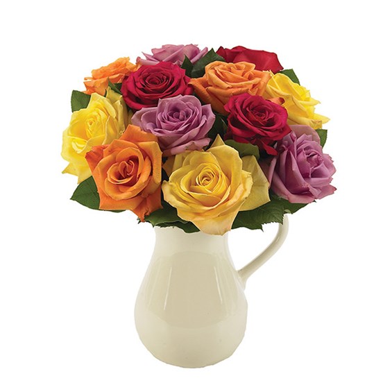 Classic multi-colored roses in a pitcher (BF132-11KM)