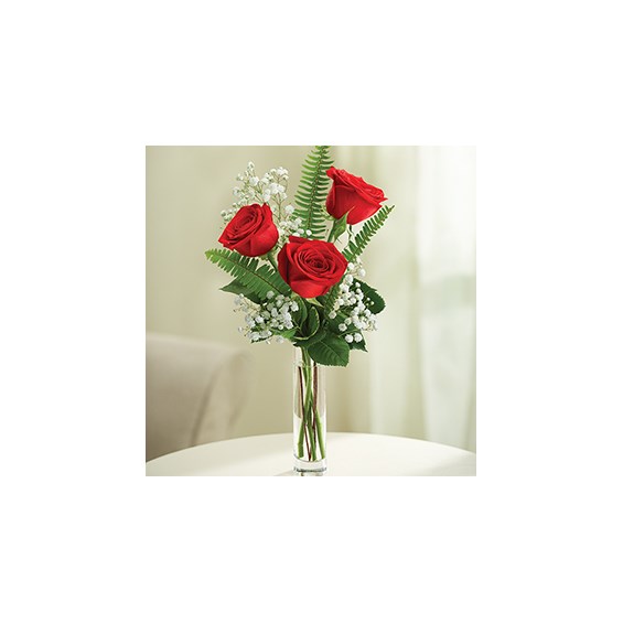 3-roses-in-vase-with-baby-s-breath