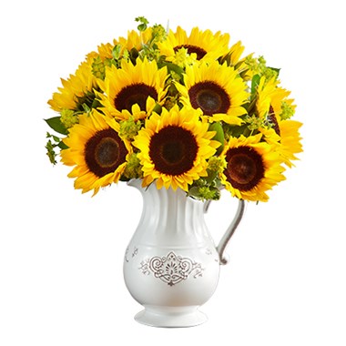 yellow-sunflower-in-a-reusable-pitcher