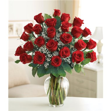 24-Dozen-Classic-Rose-in-a-Vase