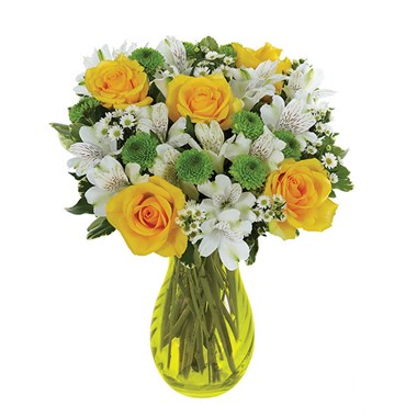 Lovely Lemon &amp; Lime Roses (BF217-11KM)