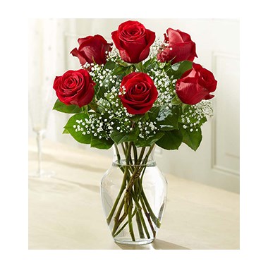 6-roses-in-a-beautiful-vase-for-them