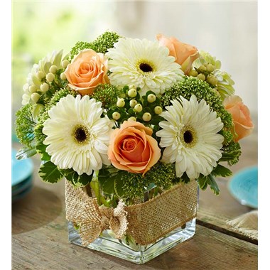 MODERN_ROSE_AND_GERBERA_DAISY_L