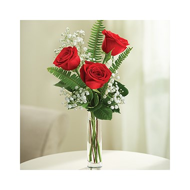 3-roses-in-vase-with-baby-s-breath