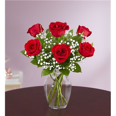 6-red-rose-in-clear-vase-with-purple-background 