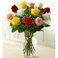 12-dozen-multi-colored-roses-in-a-vase