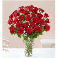 Three-Dozen-Red-Roses-Flowerama