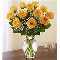 a-dozen-classic-yellow-roses-in-a-vase