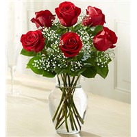 6-roses-in-a-beautiful-vase-for-them