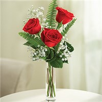 3-roses-in-vase-with-baby-s-breath