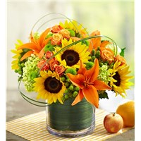 SUNBURST_BOUQUET_L