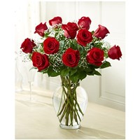 classic-dozen-roses