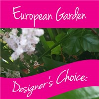 european-garden-gift-arrangement