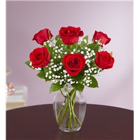 6-red-rose-in-clear-vase-with-purple-background 