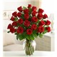 2_doz_long_stem_red_roses_Large