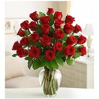 2_doz_long_stem_red_roses_Large