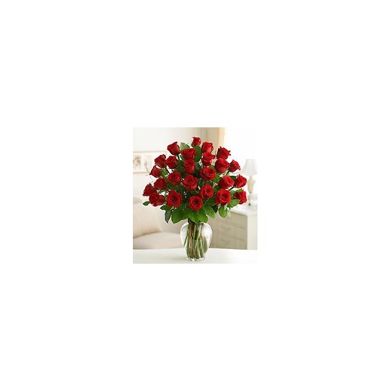 2_doz_long_stem_red_roses_Large