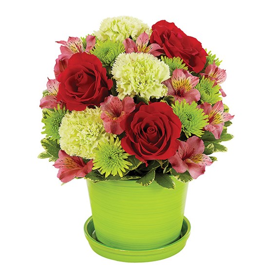 Sorbet Blooms flower bouquet (BF323-11KM)