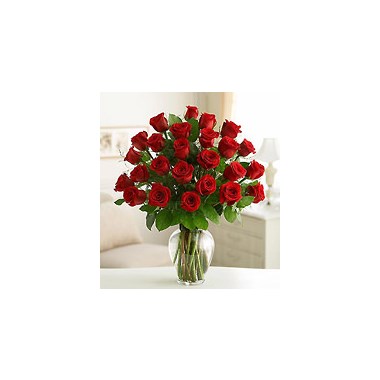 2_doz_long_stem_red_roses_Large