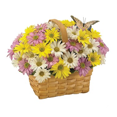 Daisy A Day Easter Basket