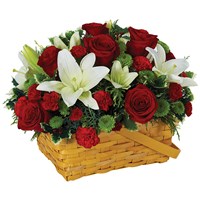 Holiday greetings basket of flowers (BF203-11KL)