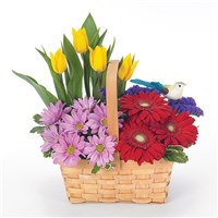 Happy birthday garden flower bouquet (BF9-11K)