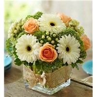 MODERN_ROSE_AND_GERBERA_DAISY_L