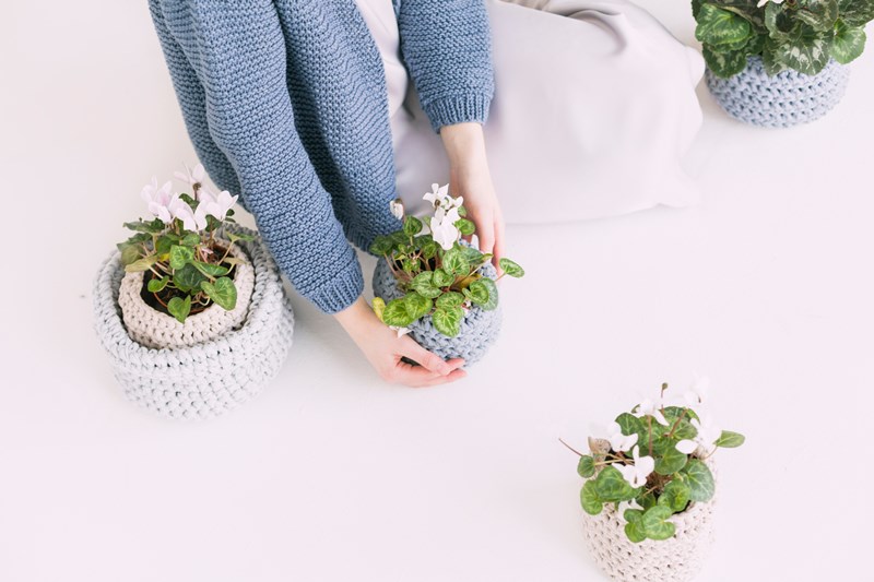 indoor-plants